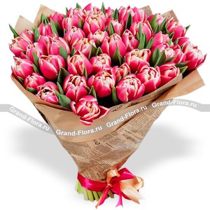 Букет из 51 розово-белого тюльпана 